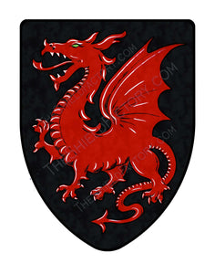 Red Dragon on Black Medieval Shield