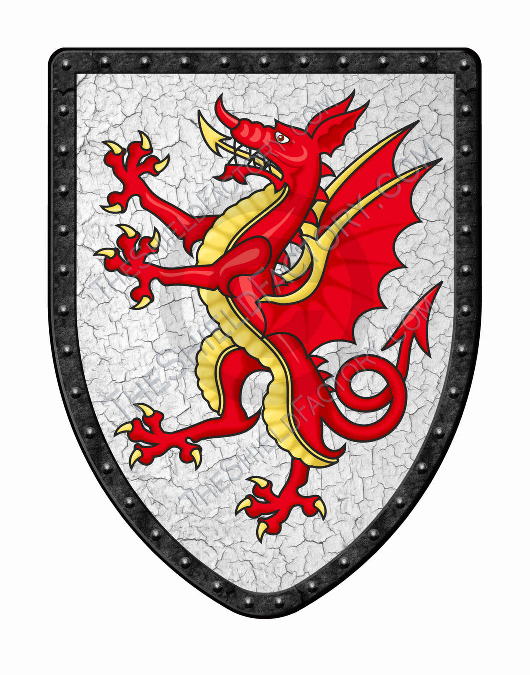 Tudor Dragon Medieval Shield