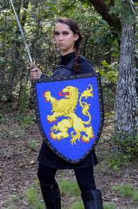 Griffin on Teal Medieval Shield