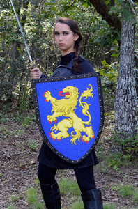 Welsh Dragon Medieval Shield