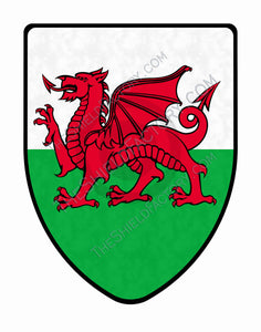 Welsh Dragon Medieval Shield