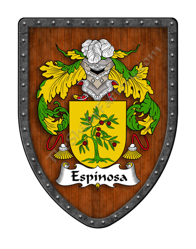 Espínosa I Custom Family Coat of Arms