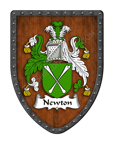 Newton